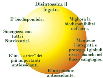 glutatione2