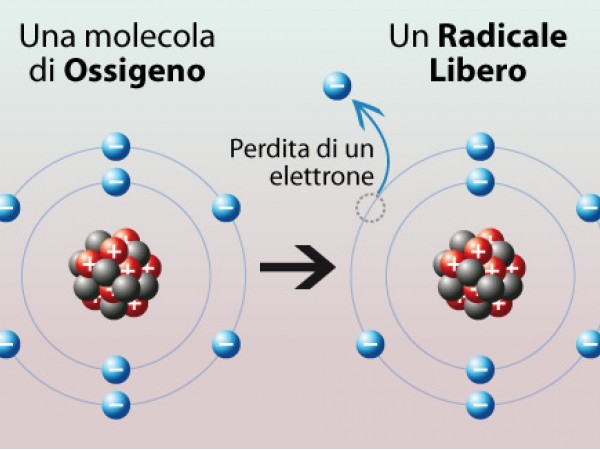 Radicali liberi: cosa sono, come&nbsp;combatterli.