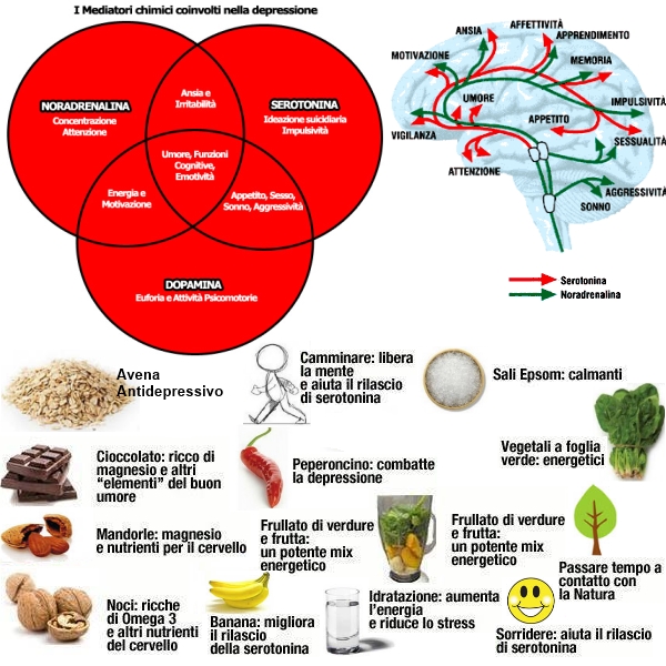 triptofano serotonina
