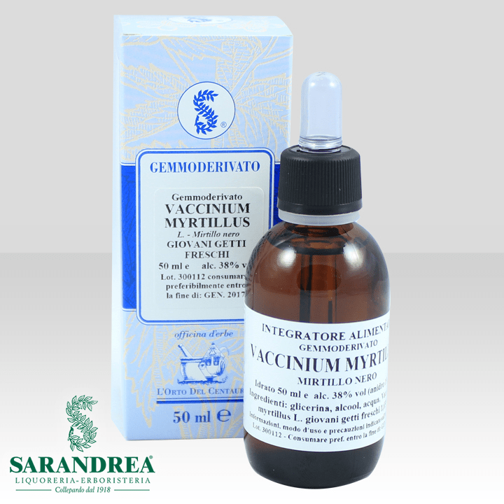 vaccinium-myrtillus