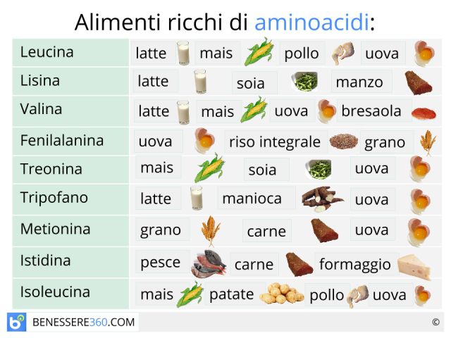 aminoacidi_640x480
