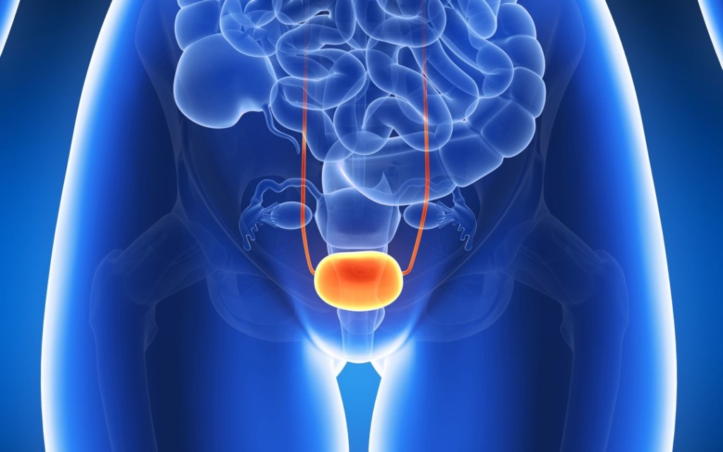 Cistiti recidivanti: i rimedi per&nbsp;curarle.