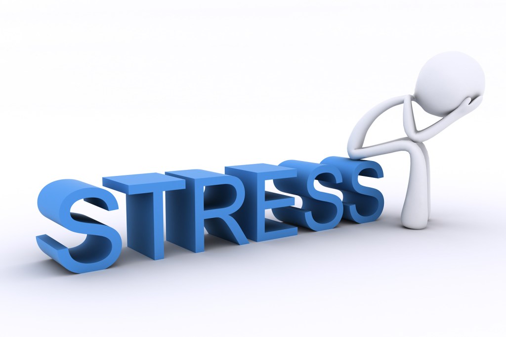 Stress: le piante che ci aiutano ad&nbsp;affrontarlo!