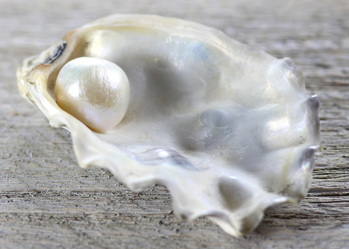 Calcarea-carbonica-rimedio-omeopatico