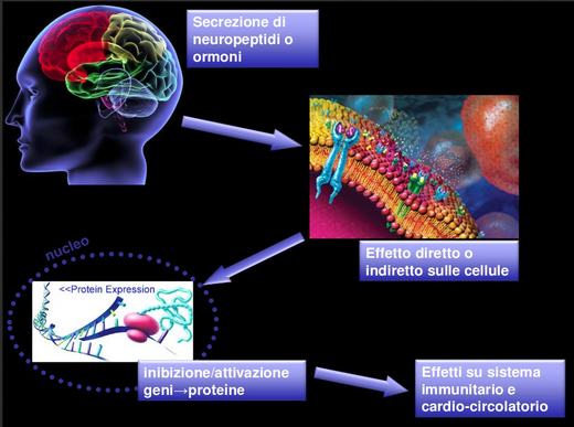 cervello epigenetica