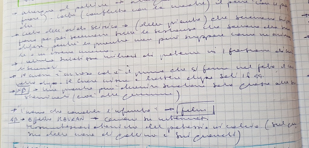 Il Disuguale Metodico: il capolavoro della grafologia morettiana, il pulsare del&nbsp;ritmo.