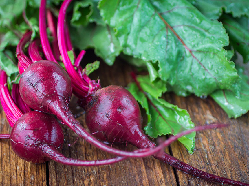 Depurarsi dai metalli pesanti: è possibile attraverso le piante! A conferma gli studi di diverse università di tutto il&nbsp;mondo.