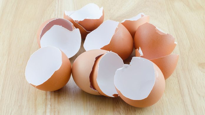 Fertilizzanti naturali per le vostre&nbsp;piante.