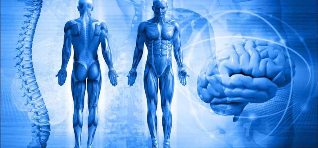 Kinesiologia applicata: una splendida tecnica per parlare con l’inconscio e ricreare lo stato di salute e&nbsp;benessere.