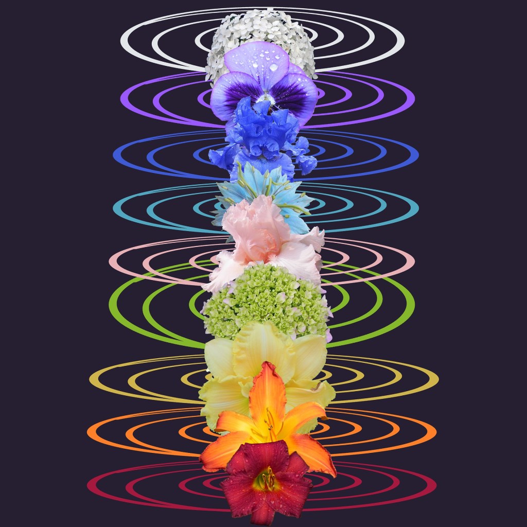 I 7 Chakra in equilibrio e in squilibrio; e le relative patologie connesse. (Prima&nbsp;parte)