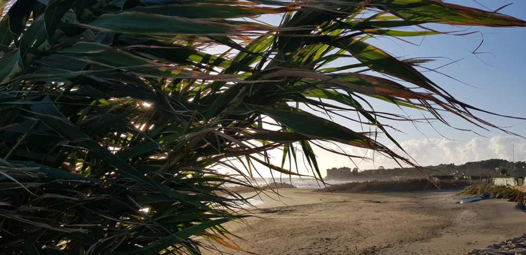 I benefici del sole, della vita e dello sport all’aria aperta sull’organismo, oltre alla produzione di vitamina&nbsp;D.