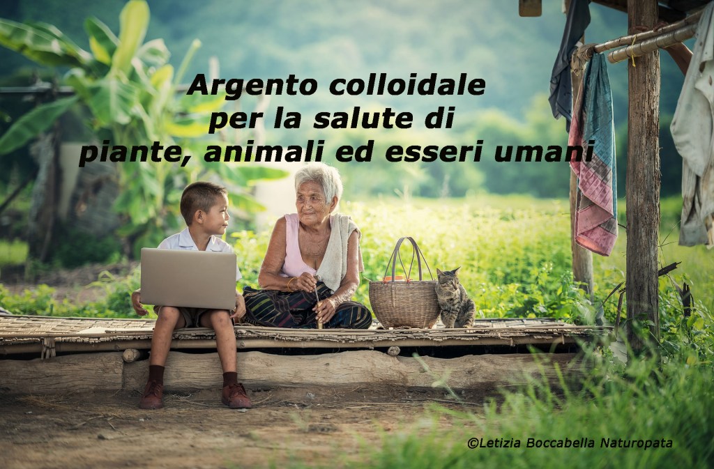 Argento colloidale: grande rimedio per la salute umana, degli animali e delle&nbsp;piante
