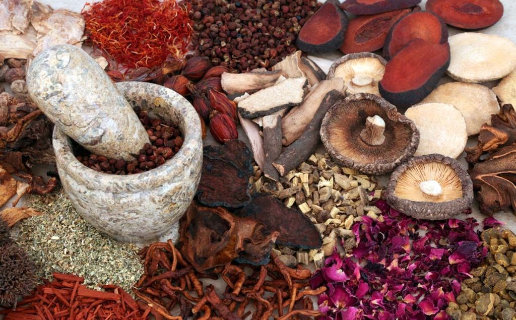 Depurare l’organismo e stimolare le difese immunitarie con i funghi medicinali. Correlazioni con la&nbsp;MTC