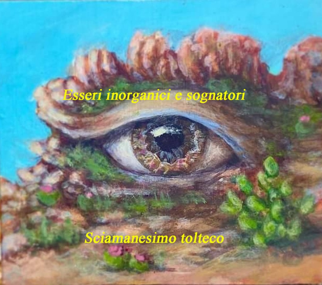 Protetto: Sciamanesimo tolteco Nagualismo: esseri inorganici e sognatori esperienze&nbsp;dirette