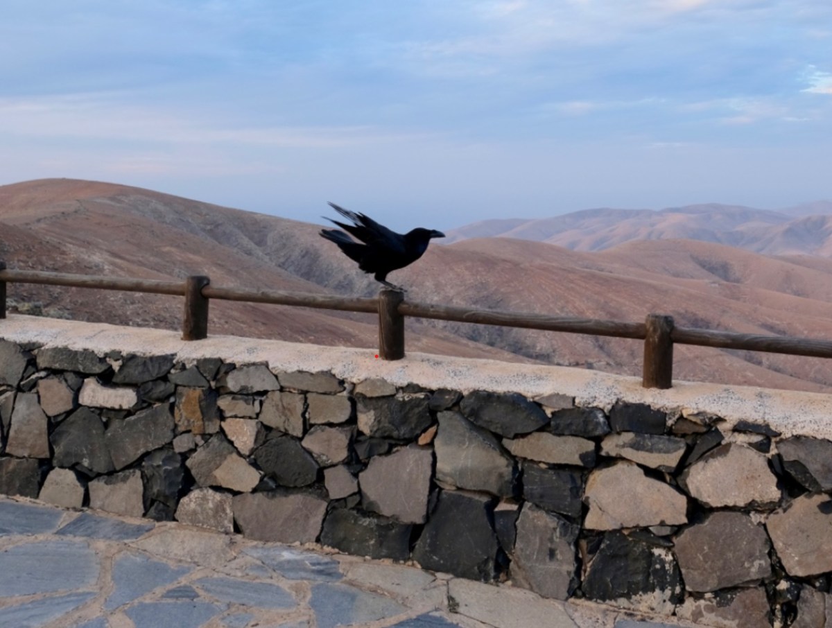 Sciamanesimo tolteco: testimonianze di un viaggio a caccia di&nbsp;potere