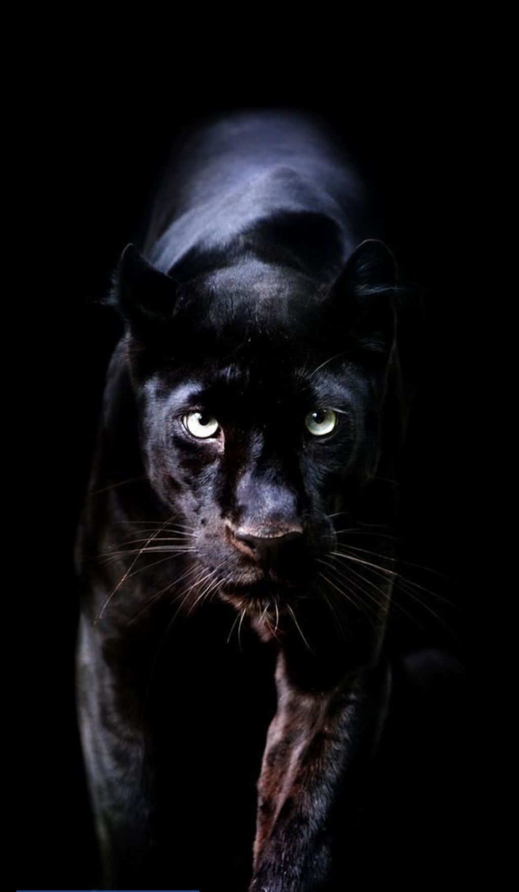 Protetto: Sciamanesimo tolteco: l’arte dell’agguato essere nel mondo senza essere del&nbsp;mondo