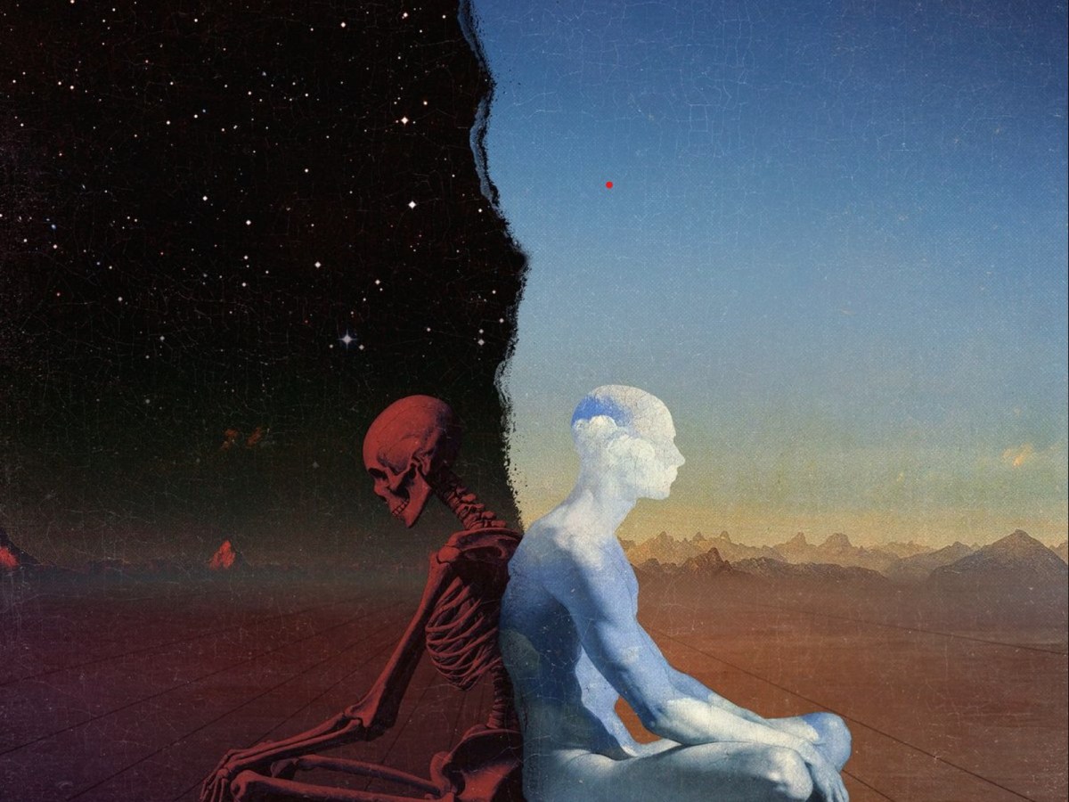 Sciamanesimo tolteco: l’albero per la tua bara e’ gia’ stato abbattuto, Torres racconta&nbsp;Castaneda